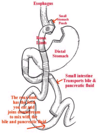 Laparoscopic Gastric Bypass Surgery Near Me | Oklahoma City